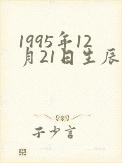 1995年12月21日生辰八字