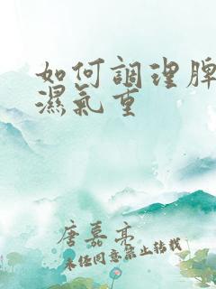 如何调理脾胃虚湿气重