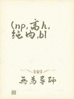 (np,高h,纯肉,bl