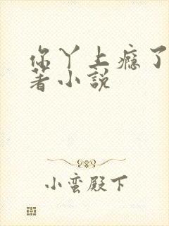 你丫上瘾了有原著小说