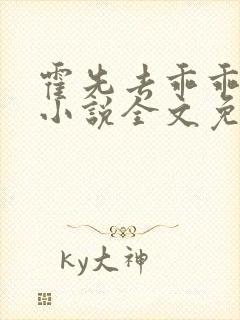 霍先去乖乖宠的小说全文免费阅读