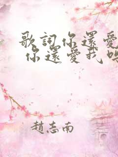 歌词你还爱我吗 你还爱我吗是什么歌