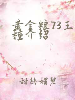 黄金粮73玉米种介绍