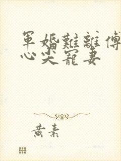 军婚难离傅少的心尖宠妻
