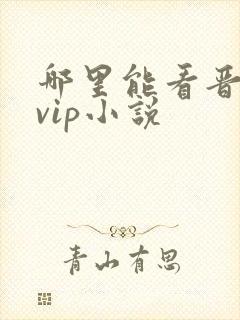 哪里能看晋江的vip小说