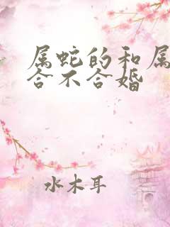 属蛇的和属虎的合不合婚