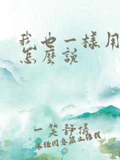 我也一样用日语怎么说