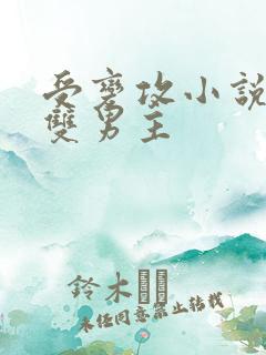 受变攻小说推荐双男主