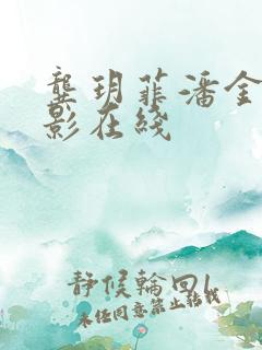 龚玥菲潘金莲电影在线