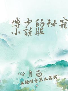 傅少的秘宠娇妻小说版