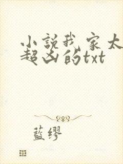 小说我家太子妃超凶的txt