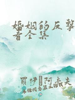 婚姻的反击免费看全集
