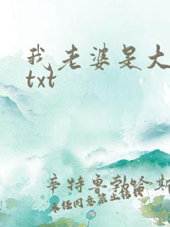 我老婆是大明星txt