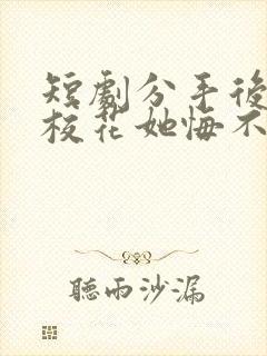 短剧分手后高冷校花她悔不当初