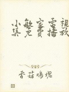 小敏家电视剧全集免费播放