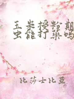 玉米授粉期生蚜虫能打药吗