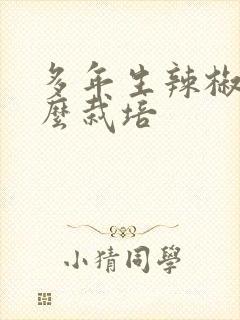 多年生辣椒树怎么栽培