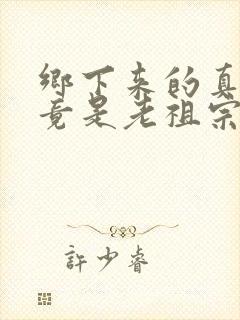 乡下来的真千金竟是老祖宗小说