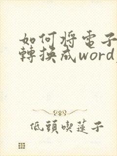 如何将电子表格转换成word表格