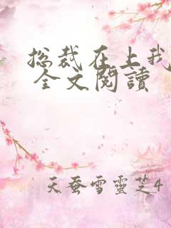 总裁在上我在下 全文阅读
