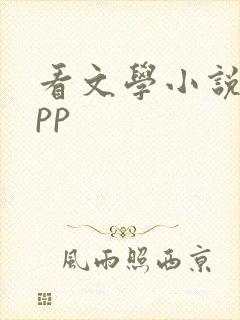 看文学小说的app
