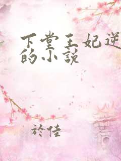 下堂王妃逆袭记的小说