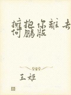 拥抱你离去dj何鹏版