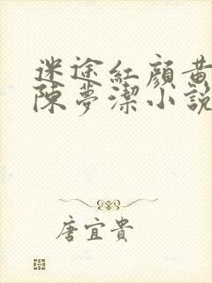 迷途红颜黄杰,陈梦洁小说