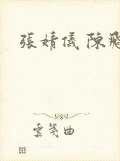张婧仪 陈飞宇