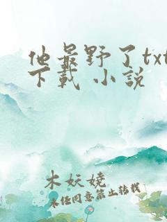 他最野了txt下载 小说