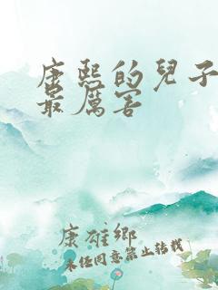 康熙的儿子们谁最厉害