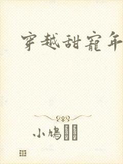 穿越甜宠年代文