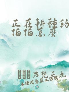 正在耕种的农民伯伯怎么