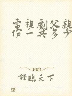 电视剧父亲的身份一共多少集啊