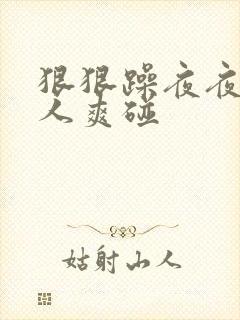 狠狠躁夜夜躁人人爽碰