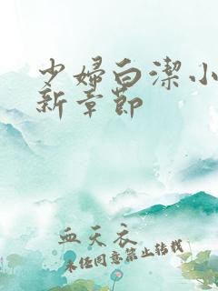 少妇白洁小说最新章节