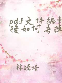 pdf文件编辑后如何去掉水印