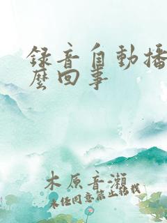 录音自动播放怎么回事