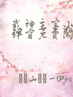武神主宰小说无弹窗免费阅读