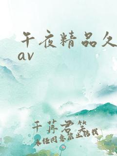 午夜精品久久久av