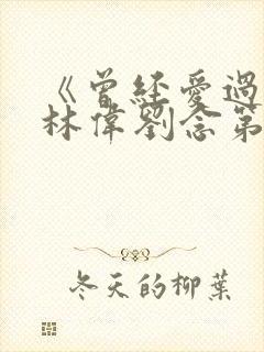 《曾经爱过我》林伟刘念第一章