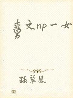 爽文np一女多男