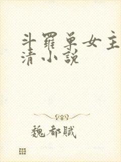 斗罗单女主朱竹清小说