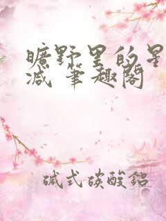 旷野里的星无删减 笔趣阁