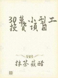 30万小型工厂投资项目