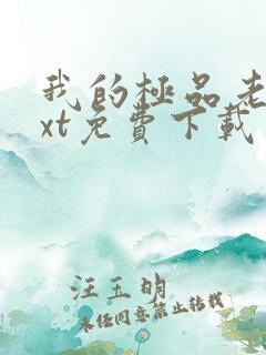 我的极品老婆txt免费下载