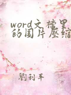 word文档里的图片压缩怎么操作