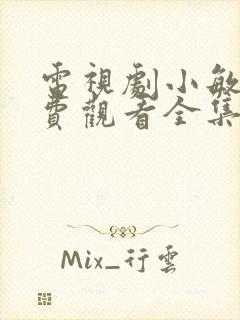 电视剧小敏家免费观看全集40集