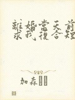 离婚当天前夫跪求我复合短剧女主角