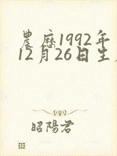 农历1992年12月26日生辰八字